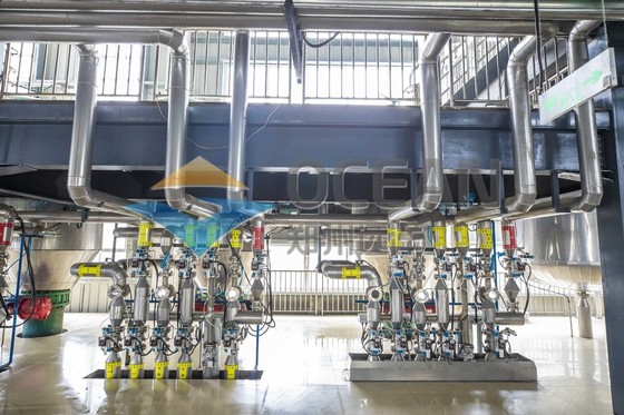 Automatische van het de Verwerkingsmateriaal van de Glasvezel Eetbare Olie Kleinschalige de Persinstallatie