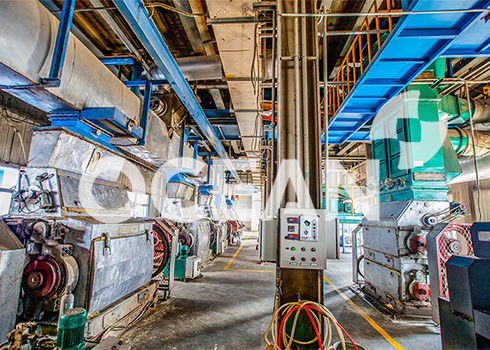 3D van de de Voorbehandelingsmachine van Ontwerp Oliehoudende Zaden Gepatenteerde Technologie 10-1500TPD