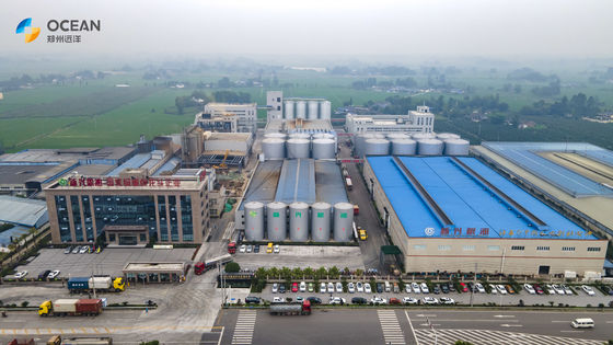 10-1000TPD Kleine Verscheidenheids Oliehoudende Zaden die Productielijn hoogst Automatisering verwerken