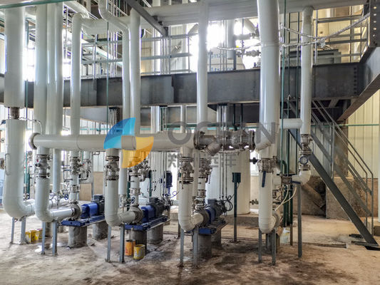 Van de de Voorbehandelingsinstallatie van de raapzadenolie de oliehoudende zaden die 30-1500TPD verwerken