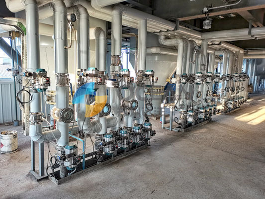 20-500TPD van de de Olieraffinaderij van Rijstzemelen de Installatie Ononderbroken Fysieke Raffinage