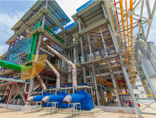 10-200 Ton Edible Oil Extraction Equipment-Olieextractie het Stomen