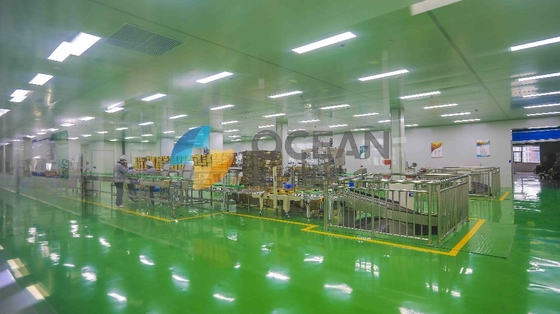 De kleinschalige Eetbare Olie die van ZX130 de Fabrieksgebruik maken van de Extractieproductielijn