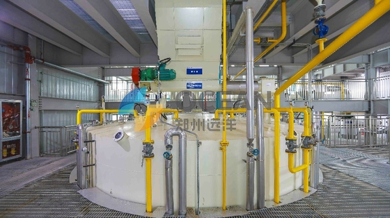 Het kleinschalige Cs-Materiaal van de Palmolieraffinaderij met het Degommerentank