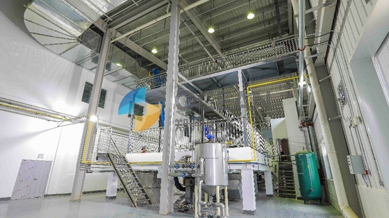 CPO van de de Raffinagemachine van de Zonnebloemolie het Degommerenontzuring
